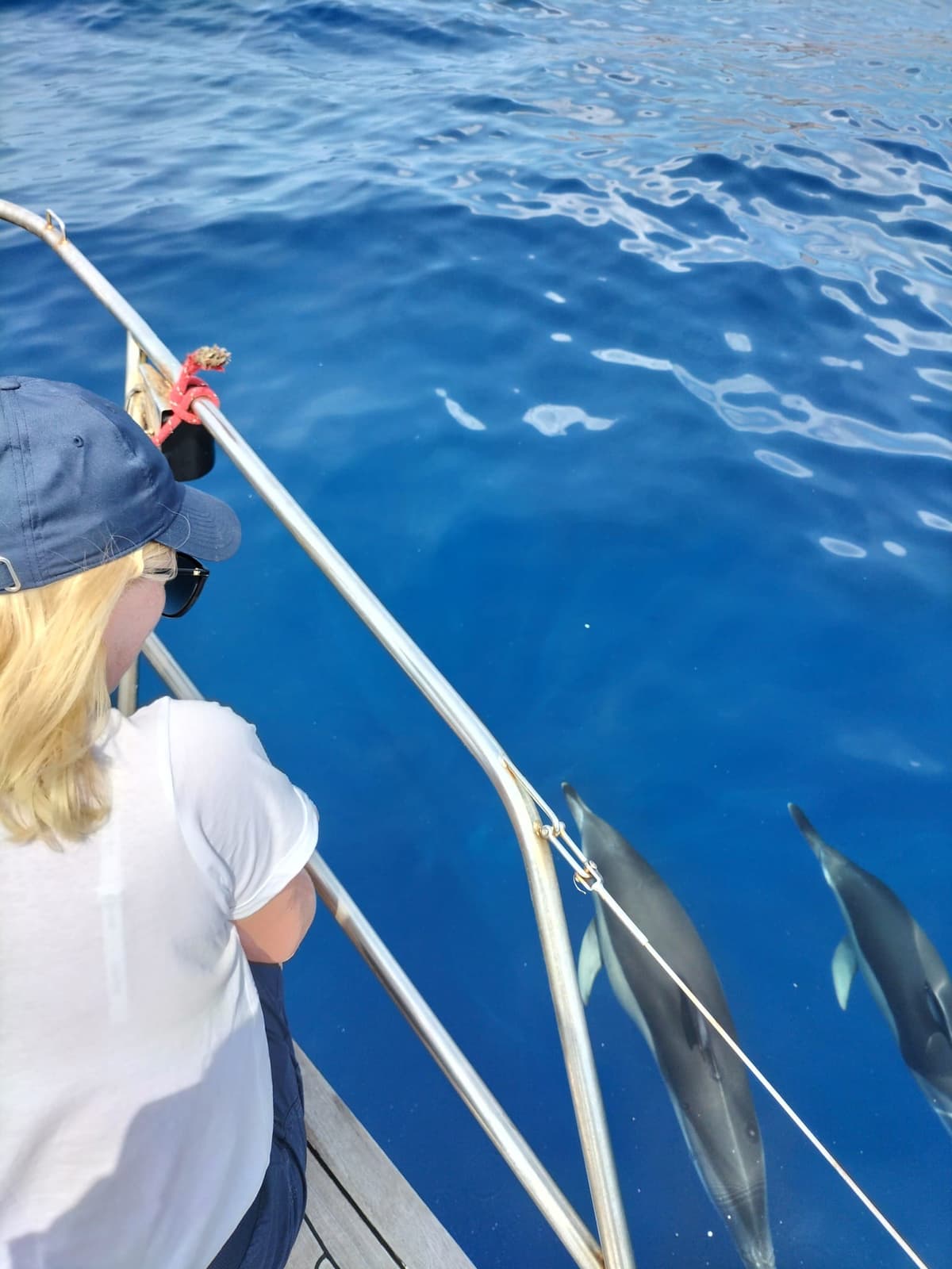A Greek adventure perfect for summer