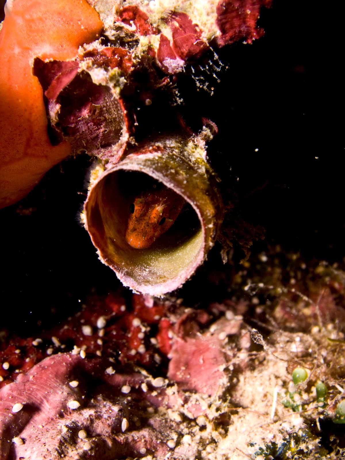 Discover the sailing & diving hotspot of the Mediterranean sea!