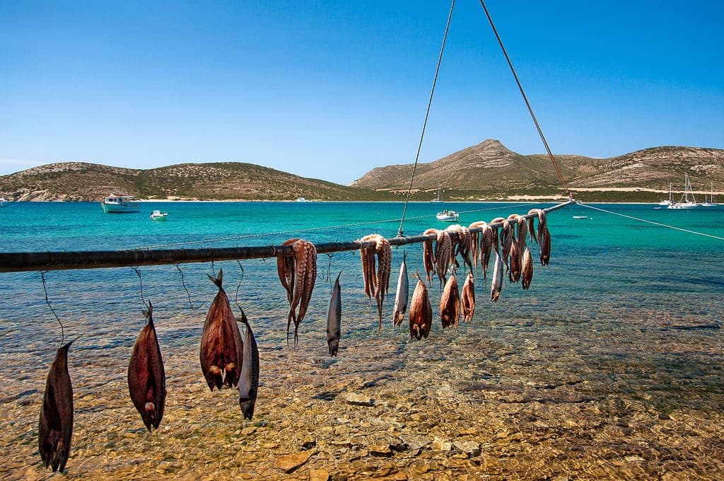 Your 2019 sailing adventure inspiration