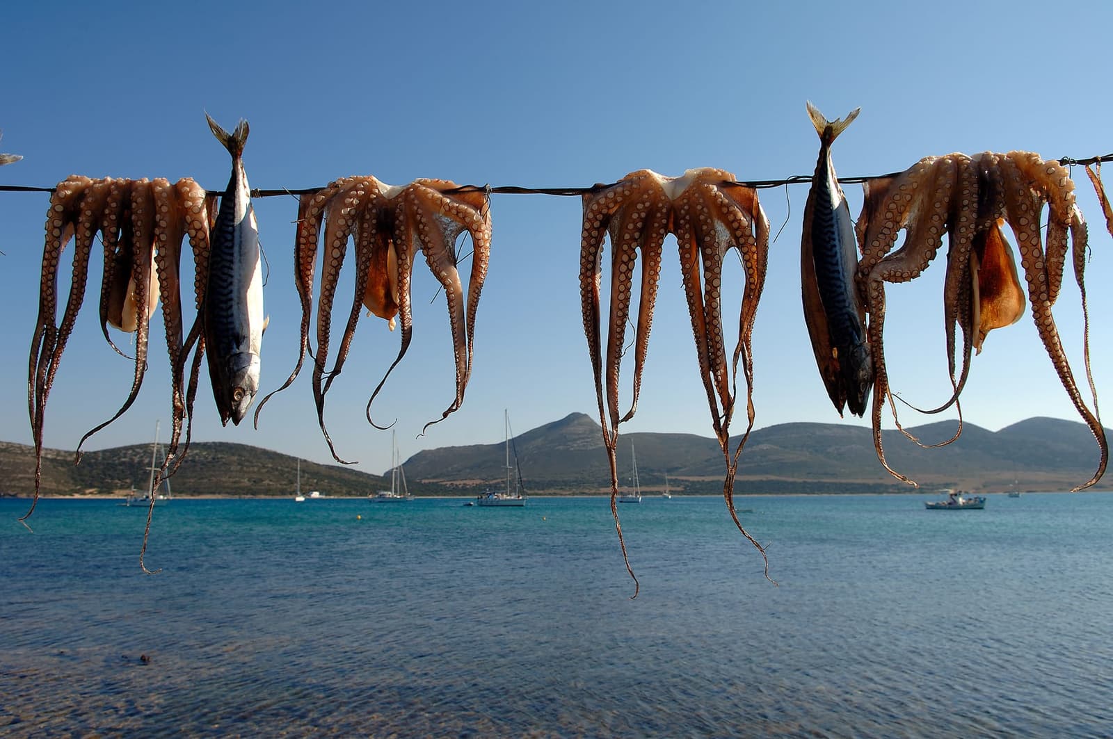 19 Reasons to sail & hike the Cyclades Now